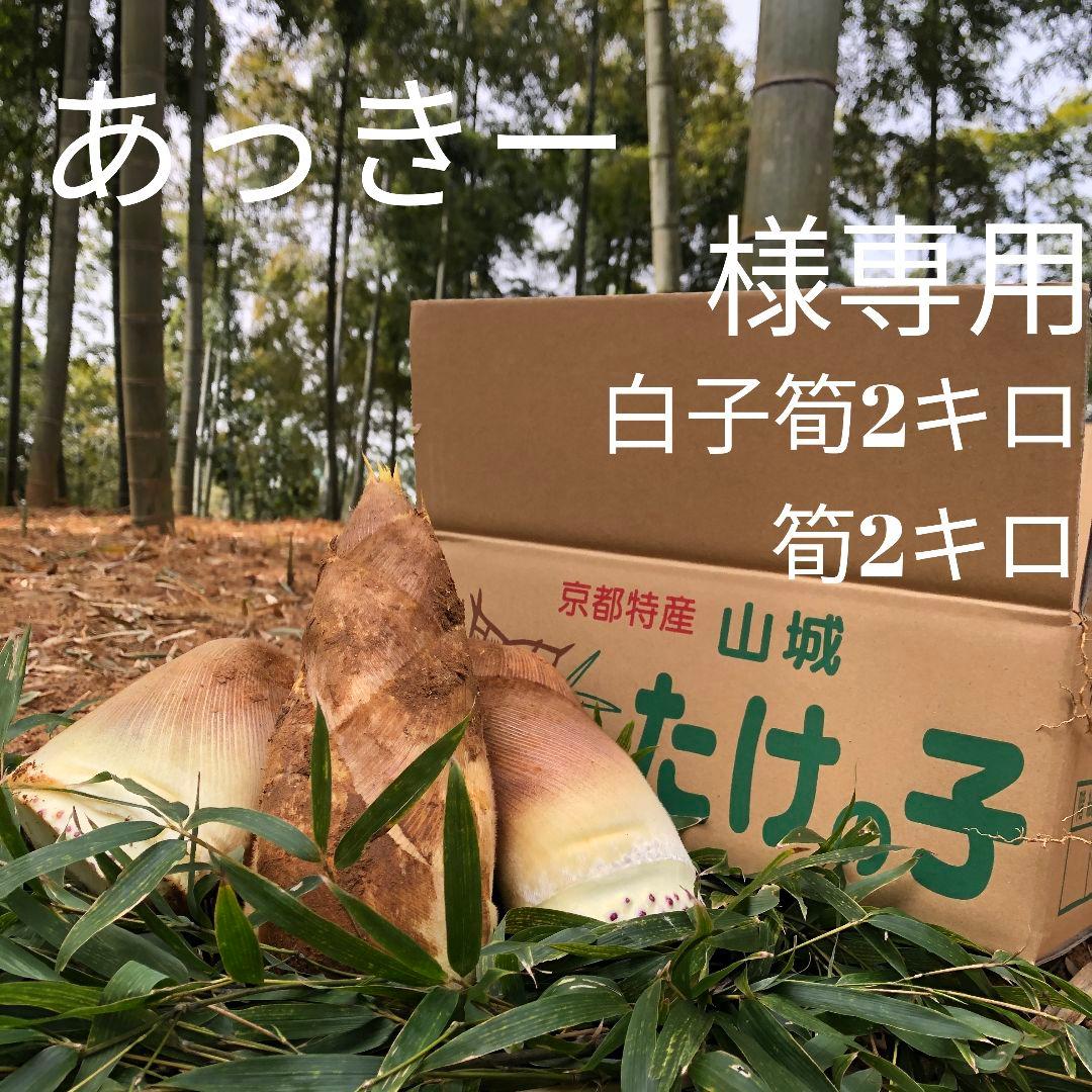 あっきー　白子筍2キロ筍2キロ