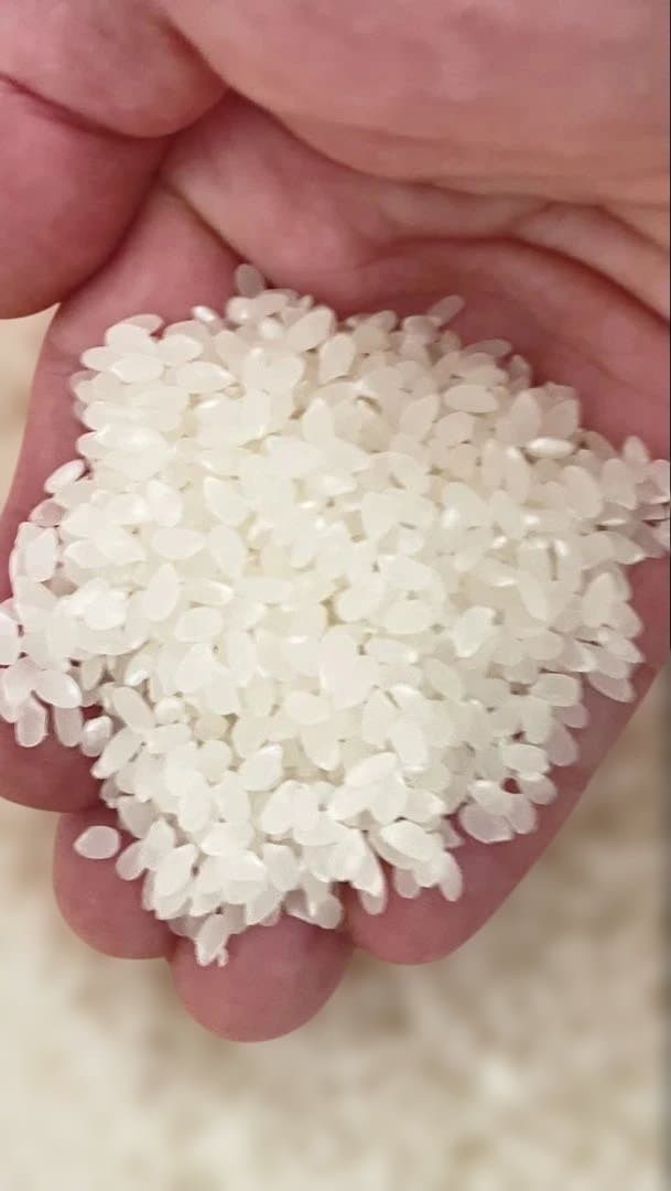 佐渡産コシヒカリ 朱鷺と暮らす郷米　20kg