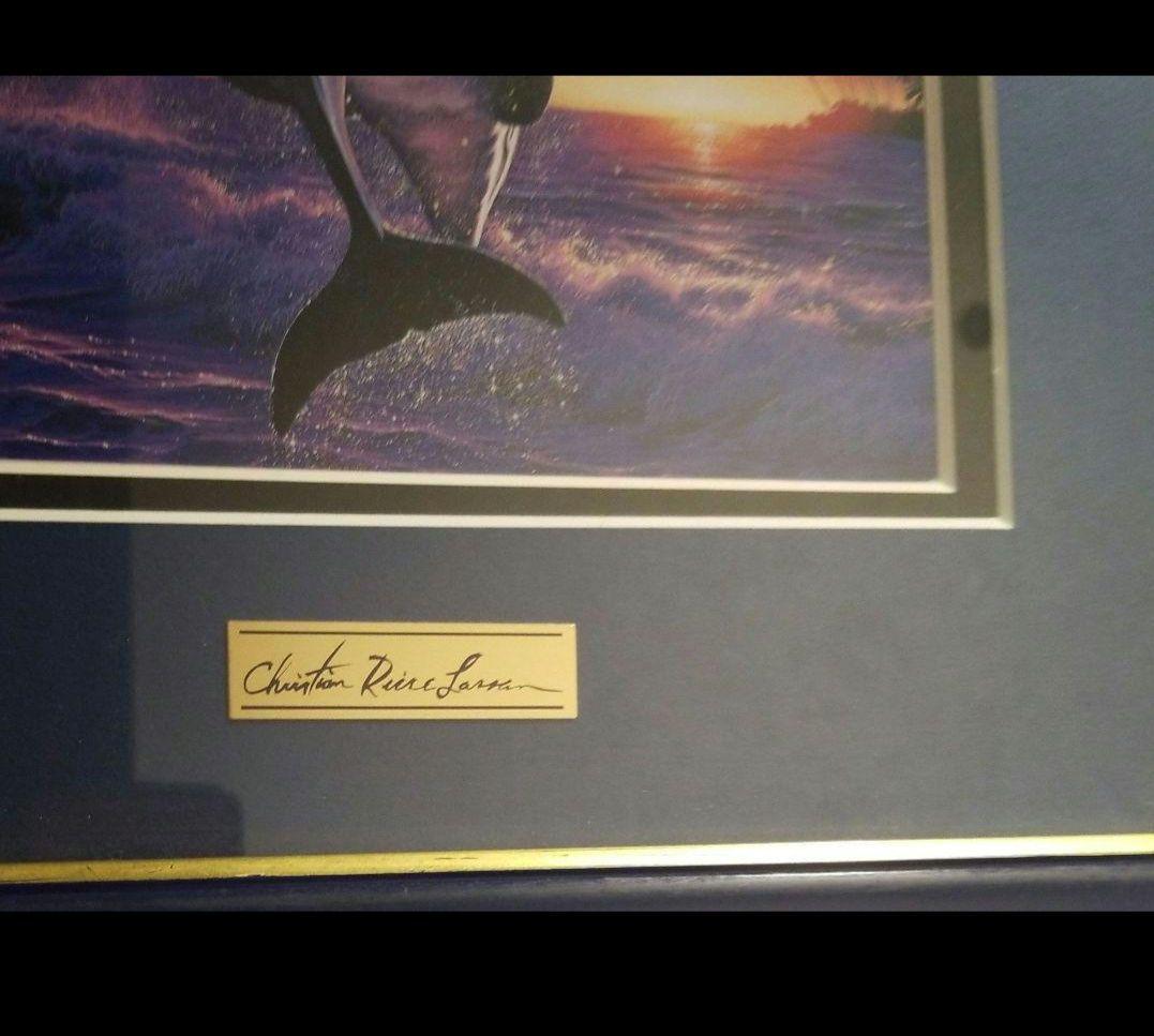 ラッセンイルカです