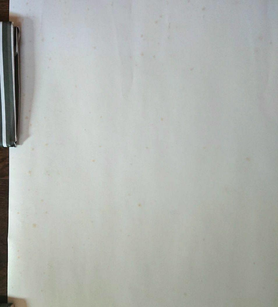 【未使用】【公式】 中森明菜 ポスター Ｂ１