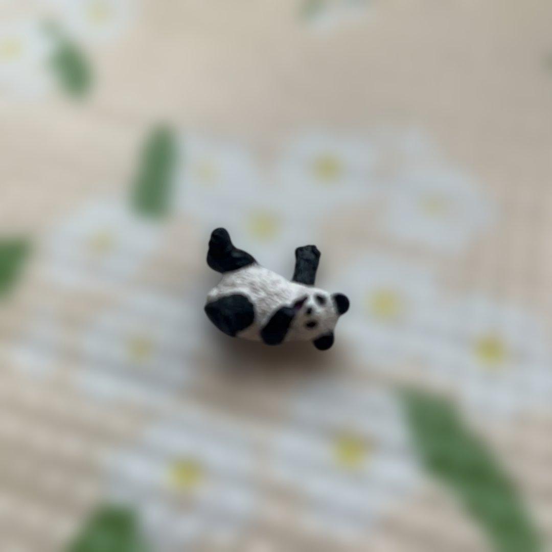 ★アドベンチャーワールド★オルゴール★ ♫シャイン オン ユー♫マスコットパンダ