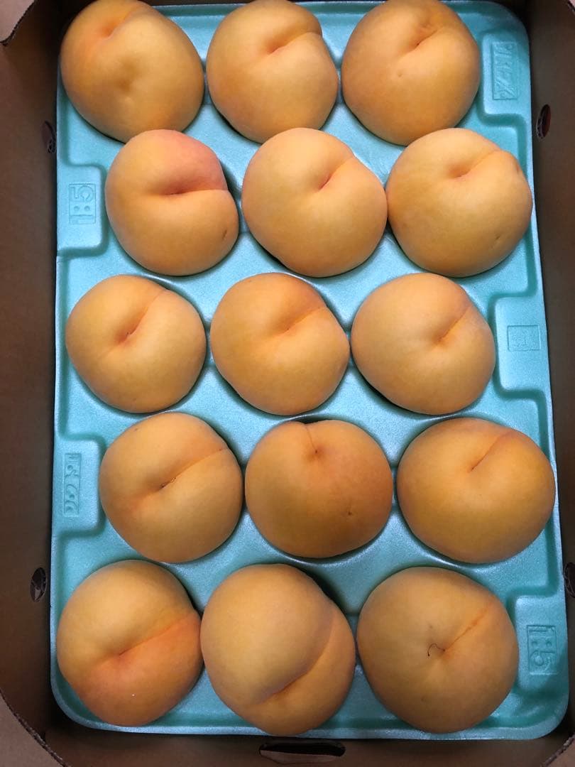 586クール便福島県産朝採り完熟黄金桃15~22玉入り常温便箱込み約5kg家庭用