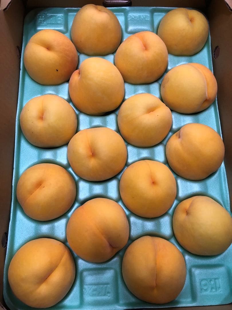 586クール便福島県産朝採り完熟黄金桃15~22玉入り常温便箱込み約5kg家庭用