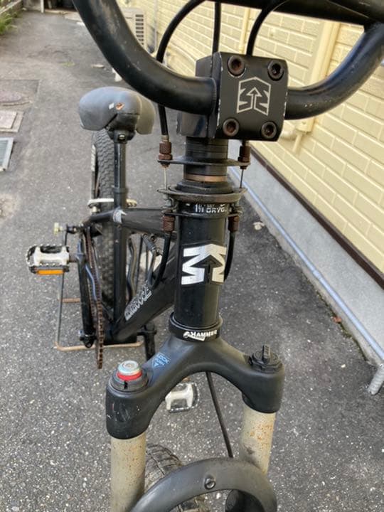 mon ritual 2005 マングース