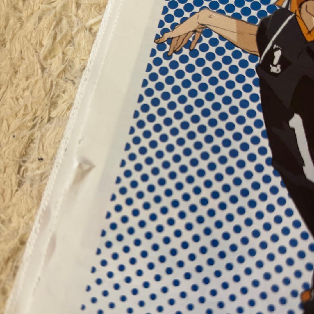 ハイキュー　ゴミ捨て場の決戦とアニメ