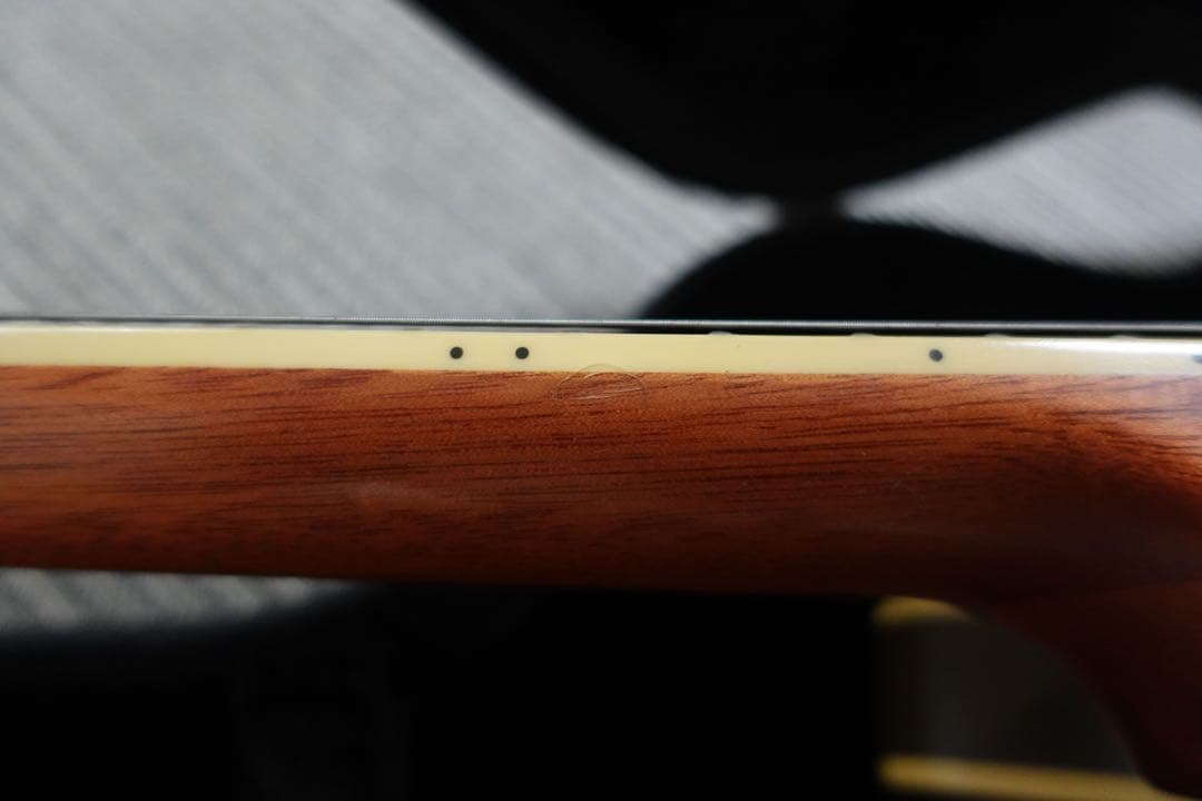 Epiphone ES-333 Tom Delonge モデルBlink-182