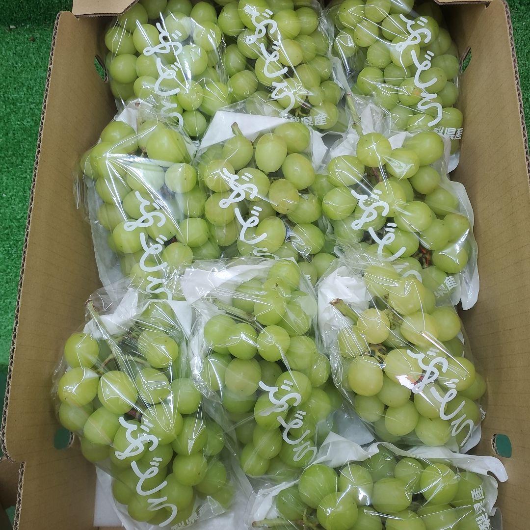 1⃣3️⃣ 山梨県産 シャインマスカット １０房入り 箱込み5.3キロ