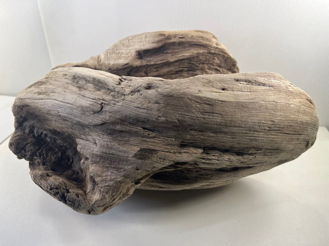 m6大型流木 アク抜き済み 爬虫類シェルター レイアウト用 オブジェ インテリア