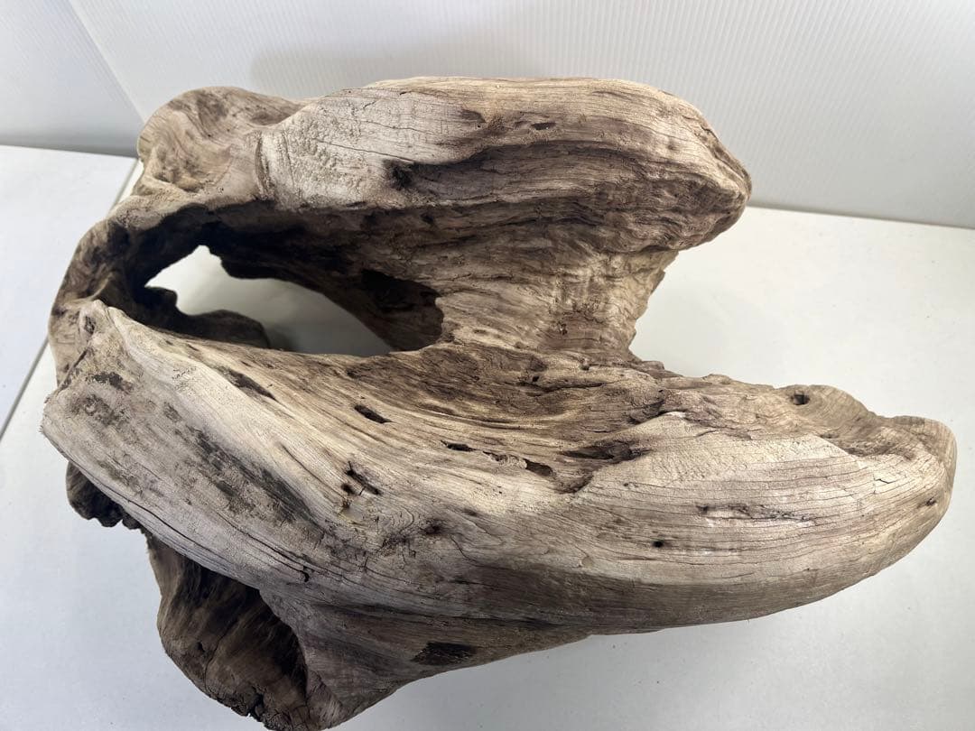 m6大型流木 アク抜き済み 爬虫類シェルター レイアウト用 オブジェ インテリア