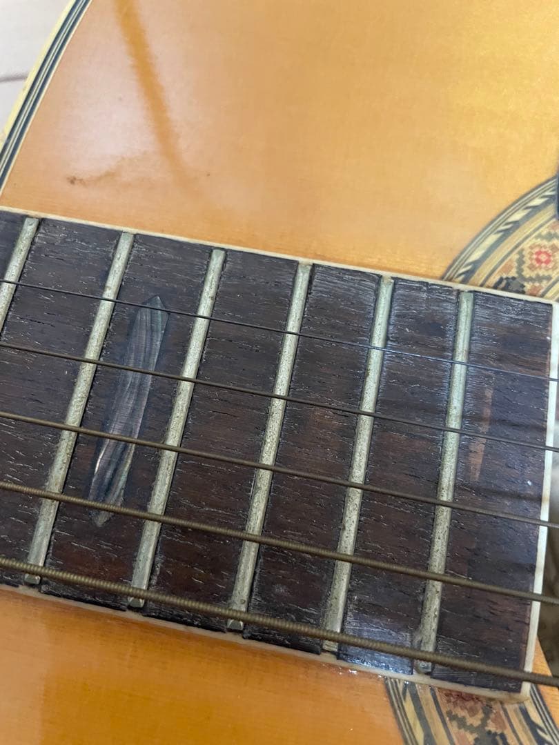 Aria アコースティックギター W-300