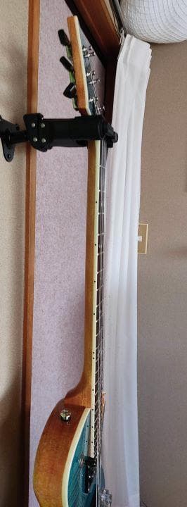 PRS SE ZACH MYERS　ザック・マイヤーズ モデル