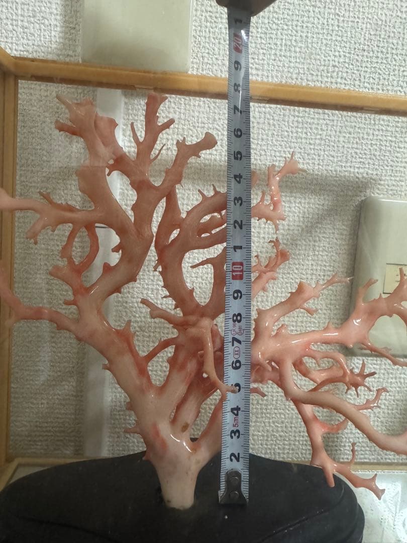 珊瑚　置物