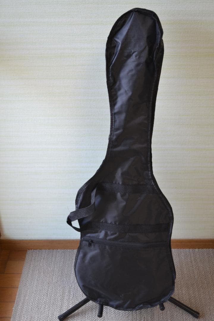 Epiphone Special MODEL SPECIAL-II　新品弦付