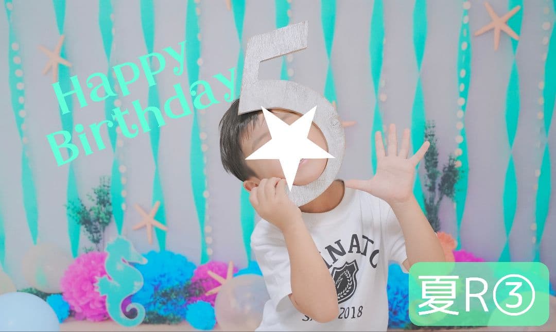 背景布　夏BB➃　ペット撮影用フォトブース　トリミングチョーカー販売中　縦長