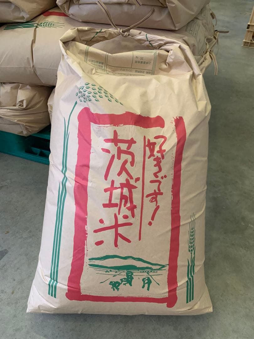 令和7年産　コシヒカリ　茨城県産　農家直送　玄米30kg 保冷庫保存　送料無料