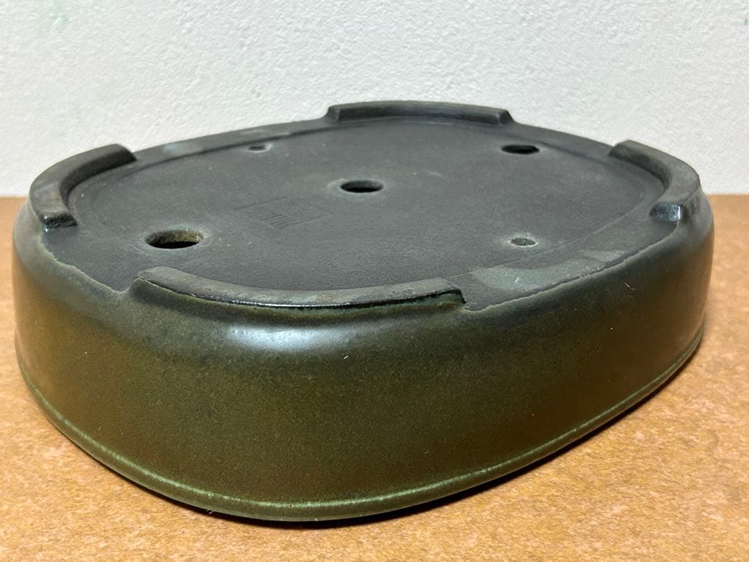 鴻陽　盆栽鉢　小品盆栽　山野草