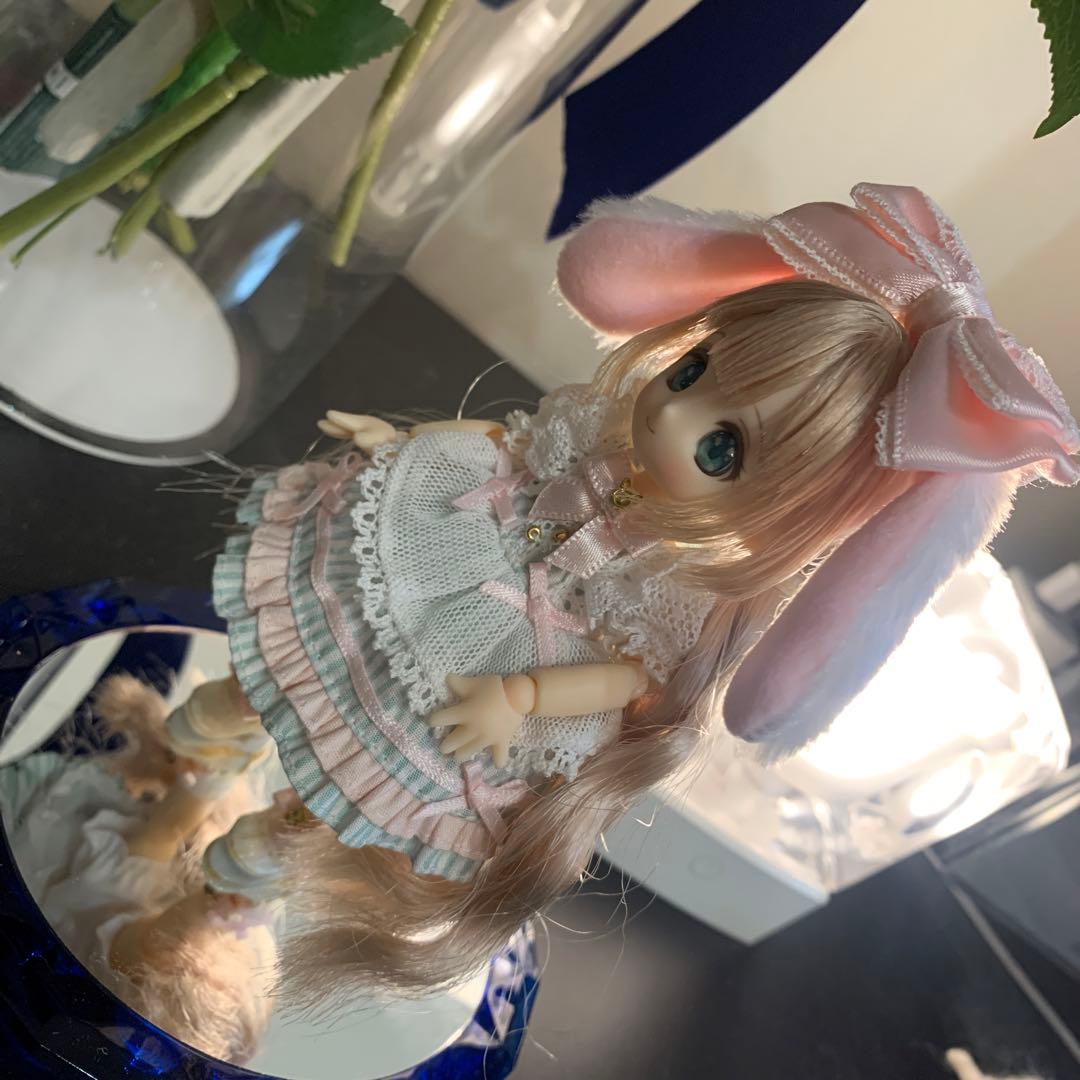 シュガーカップス ビスケティーナ アゾンダイレクトストア限定販売