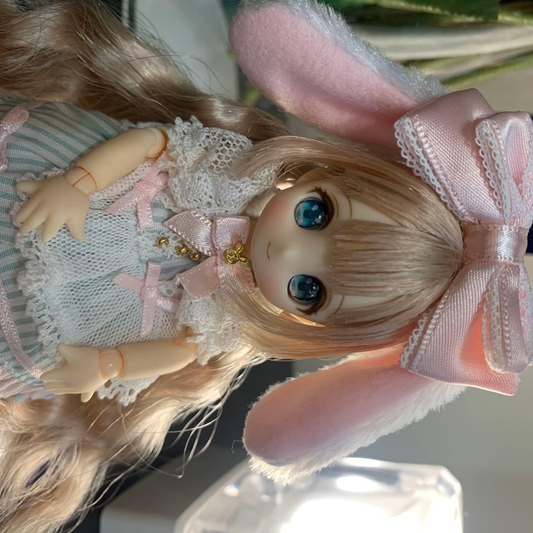 シュガーカップス ビスケティーナ アゾンダイレクトストア限定販売