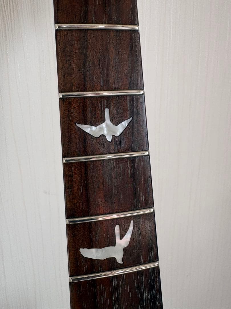 しまうまPRS SE standard24