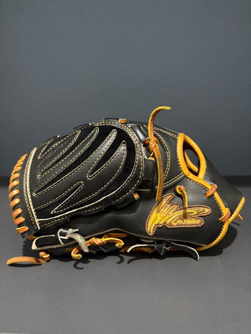 Ip Select アルモニーア オーダー 投手用グラブ 左投げ