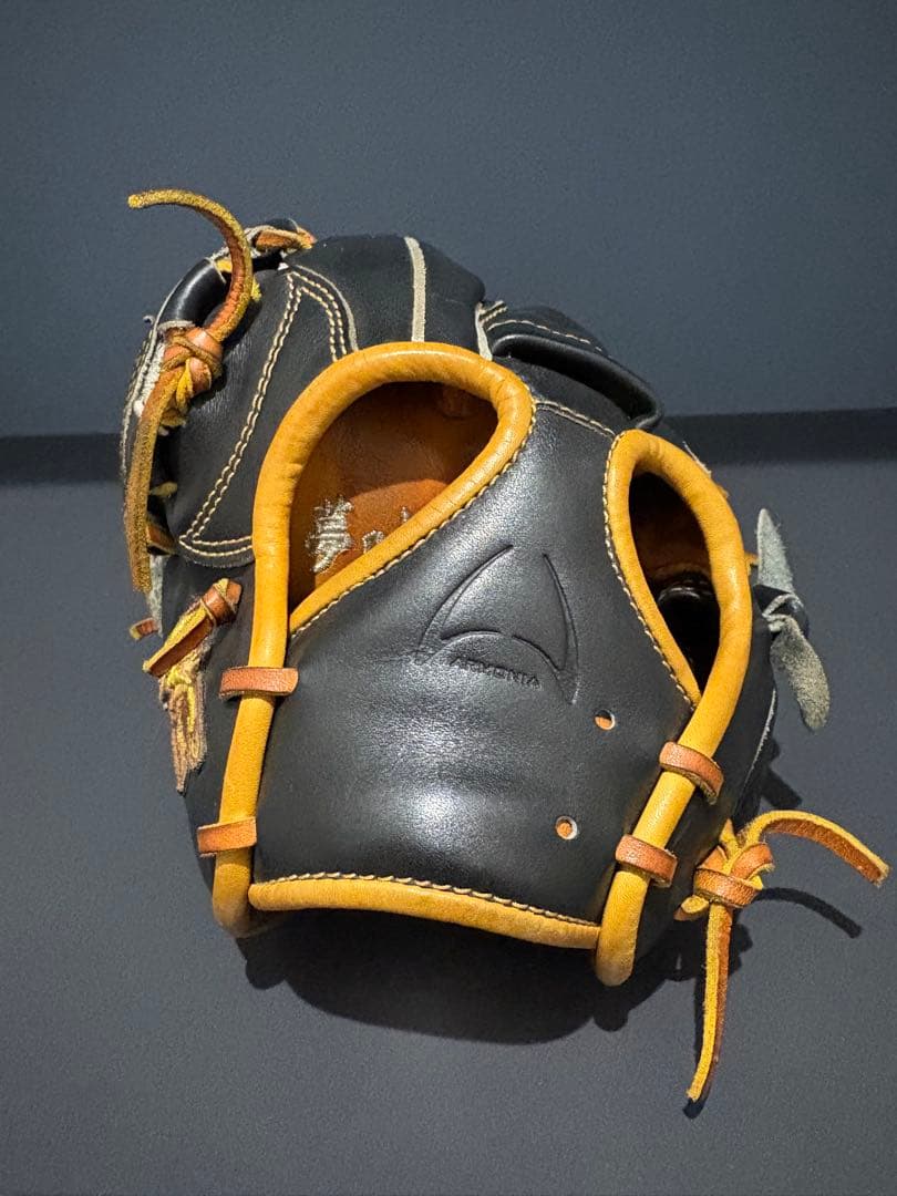 Ip Select アルモニーア オーダー 投手用グラブ 左投げ