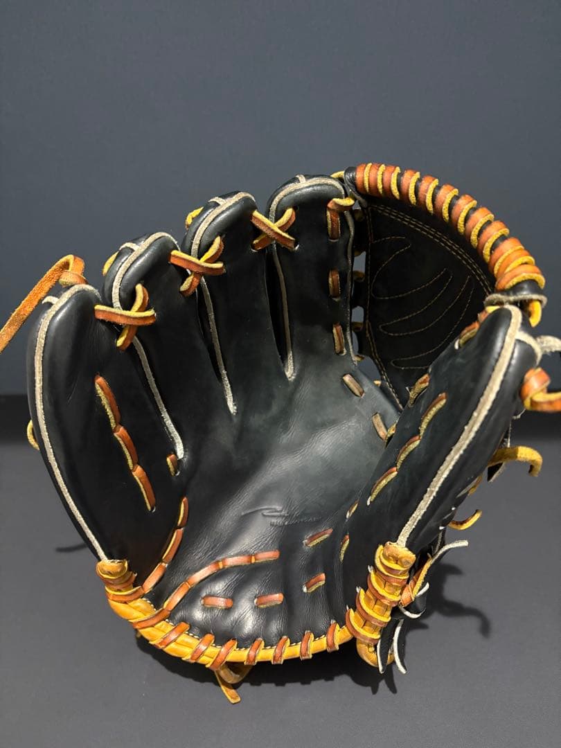 Ip Select アルモニーア オーダー 投手用グラブ 左投げ