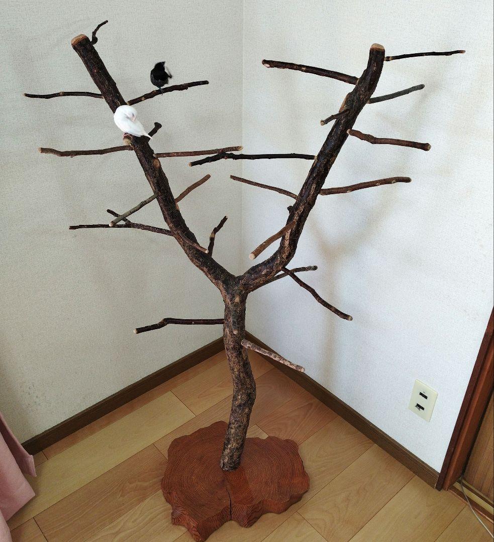 【フィンチ用】梅と桜のフィンチTree バードスタンド