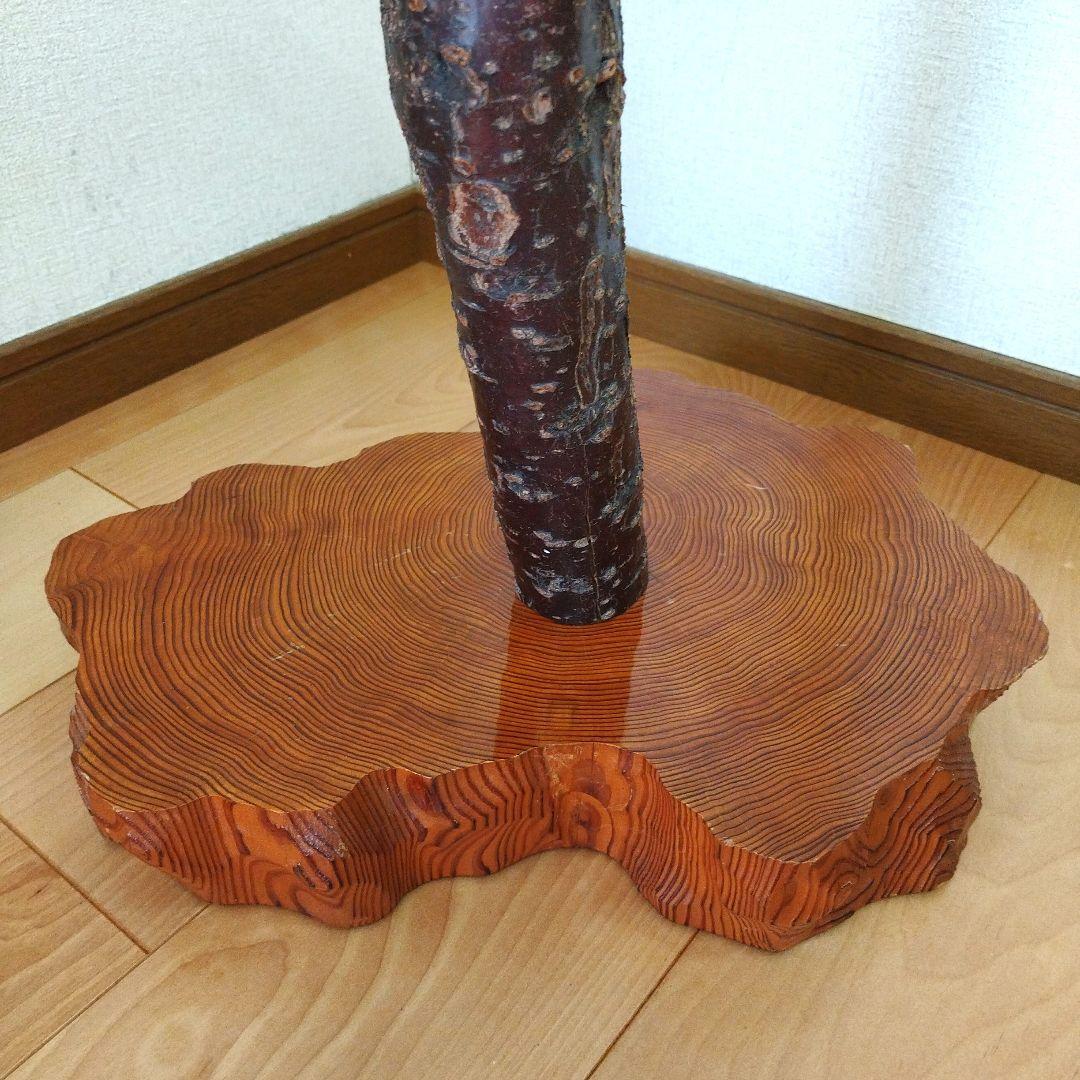 【フィンチ用】梅と桜のフィンチTree バードスタンド