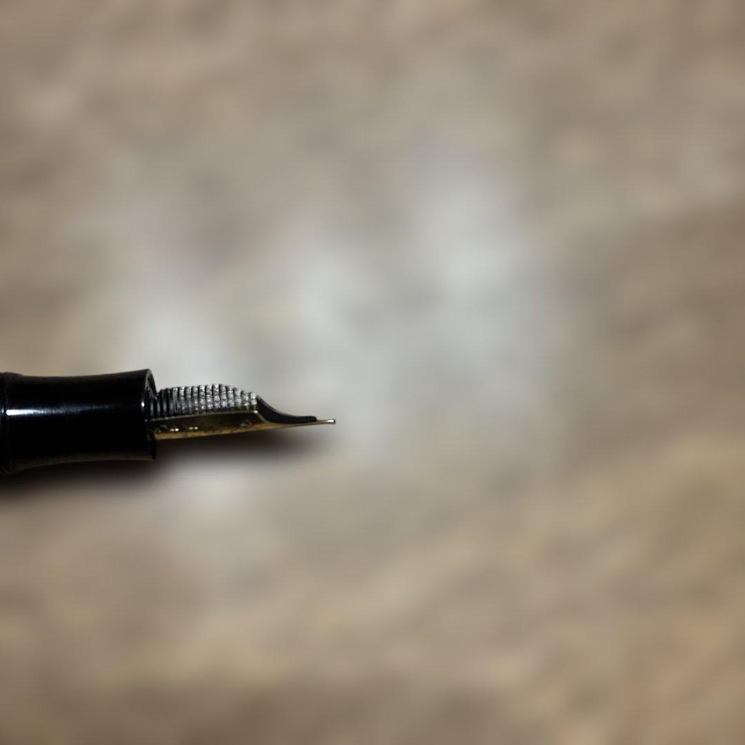 モンブラン作家シリーズ ドストエフスキー万年筆 Mニブ