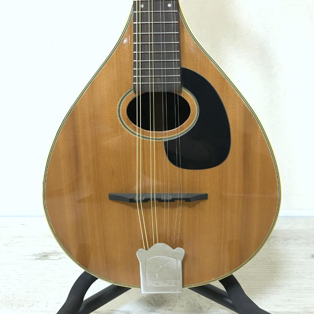 【希少/良品】JUMBO 田原楽器 フラットマンドリン Martin Style