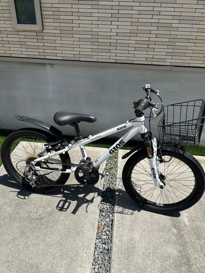 ジオス GIOS ジェノア　20インチ　直接引き渡し限定