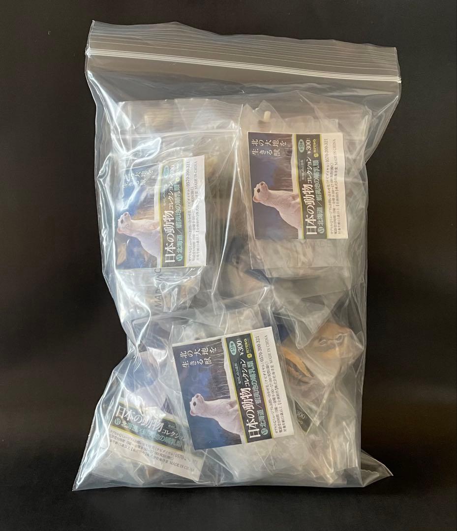 カプセルＱ　日本の動物コレクションⅥ 北海道