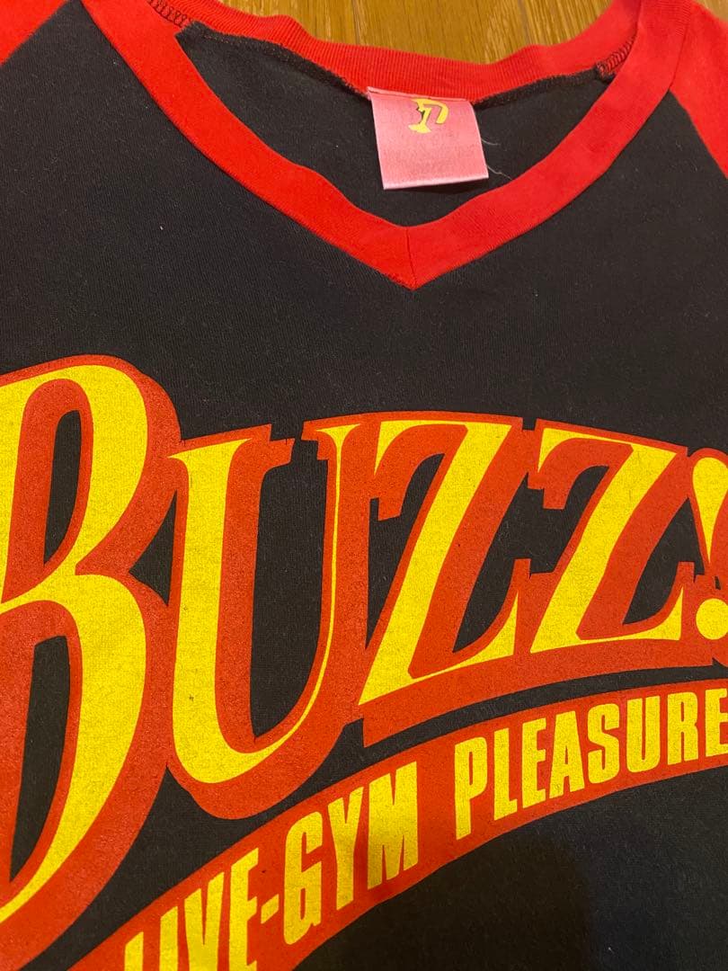 レア　B'z LIVE GYM 1995 BUZZ ライブTシャツ & タオル