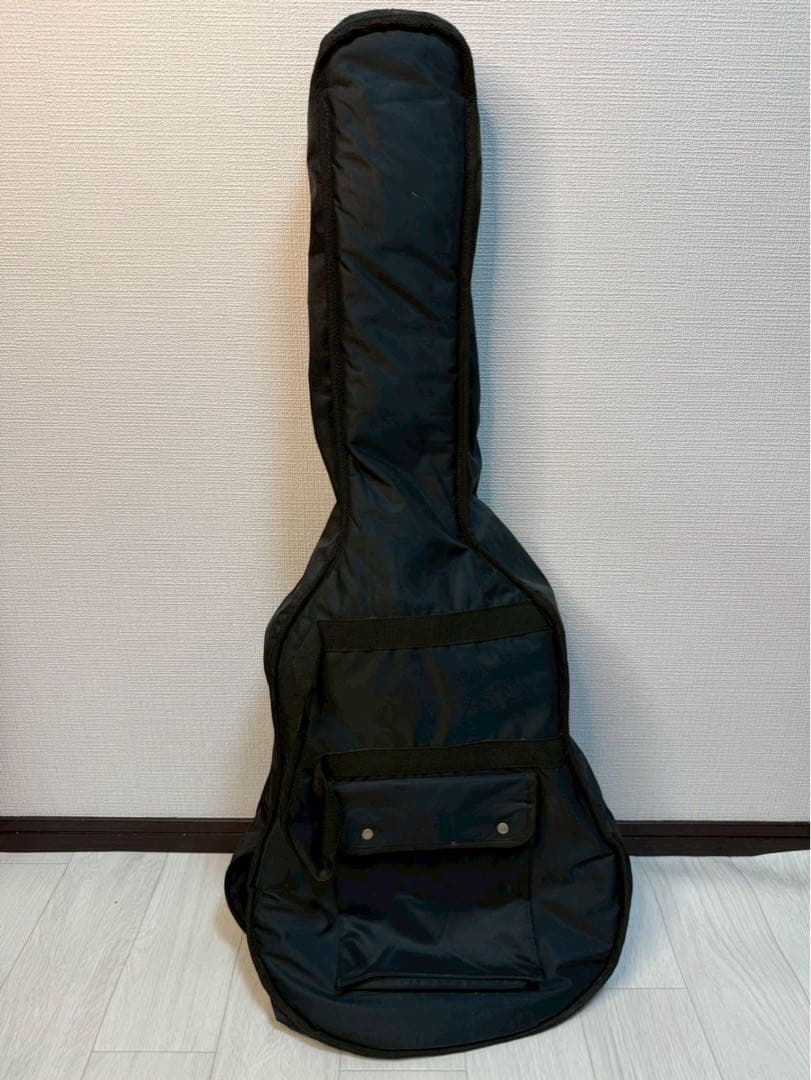 Pro Martin アコースティックギター ギターケース付き