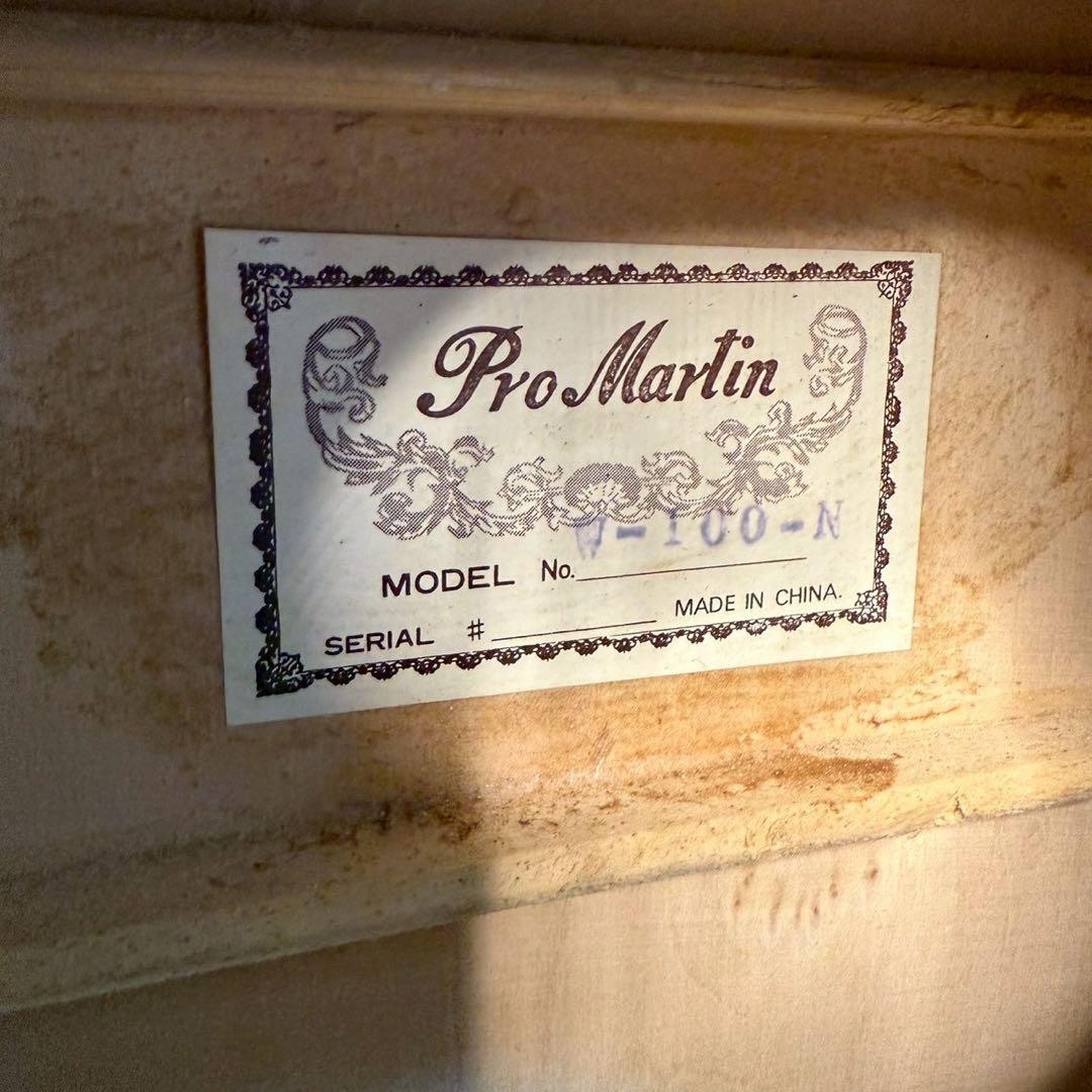 Pro Martin アコースティックギター ギターケース付き