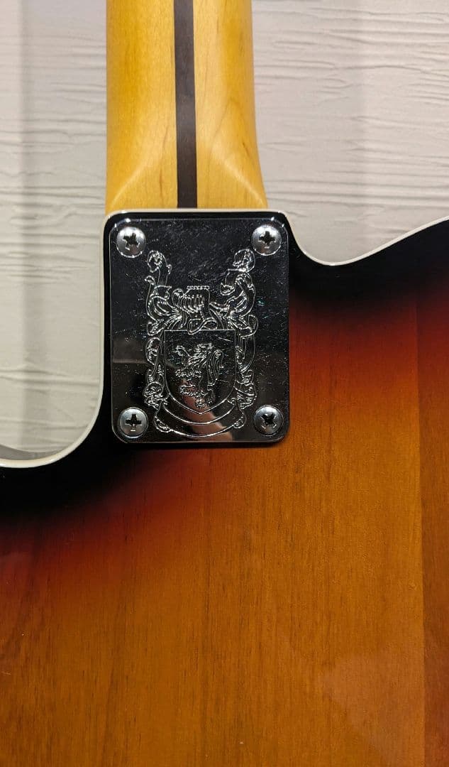 CUSTOM TELECASTER コンポーネントギター