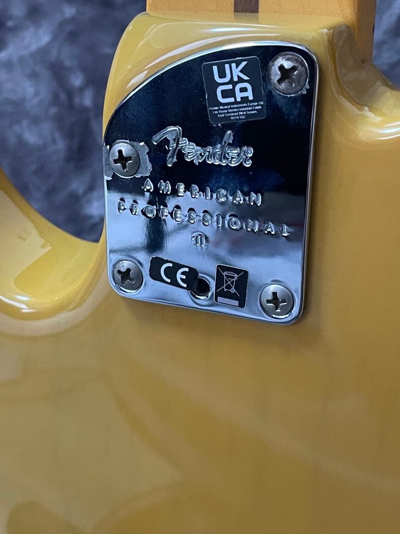 フェンダーアメリカンプロフェッショナルIIテレキャスター