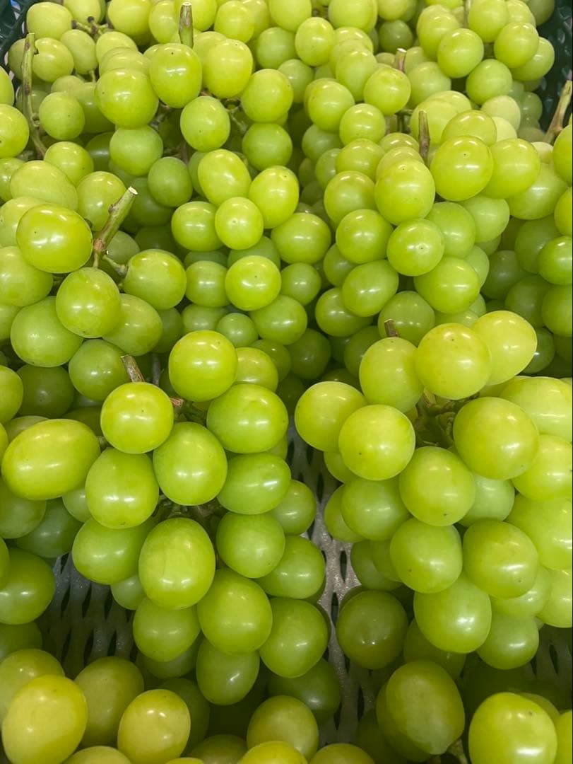 【シャインマスカット】山梨県産　4キロ　農家直送