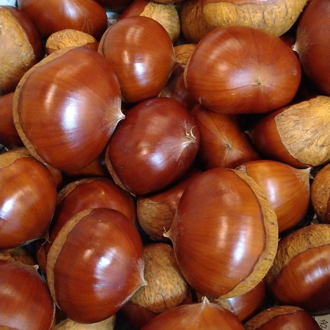 ⭕あっちゃん ❗　格安❗京都府丹波産 無農薬 丹波栗❗ミックス5kg詰め❗
