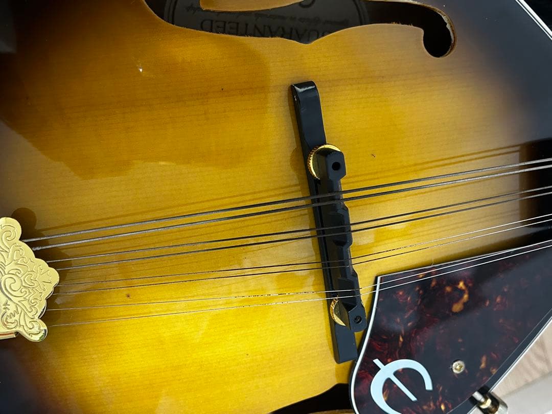 か*ま様 Epiphone EF30ASGH1 マンドリン ケース付