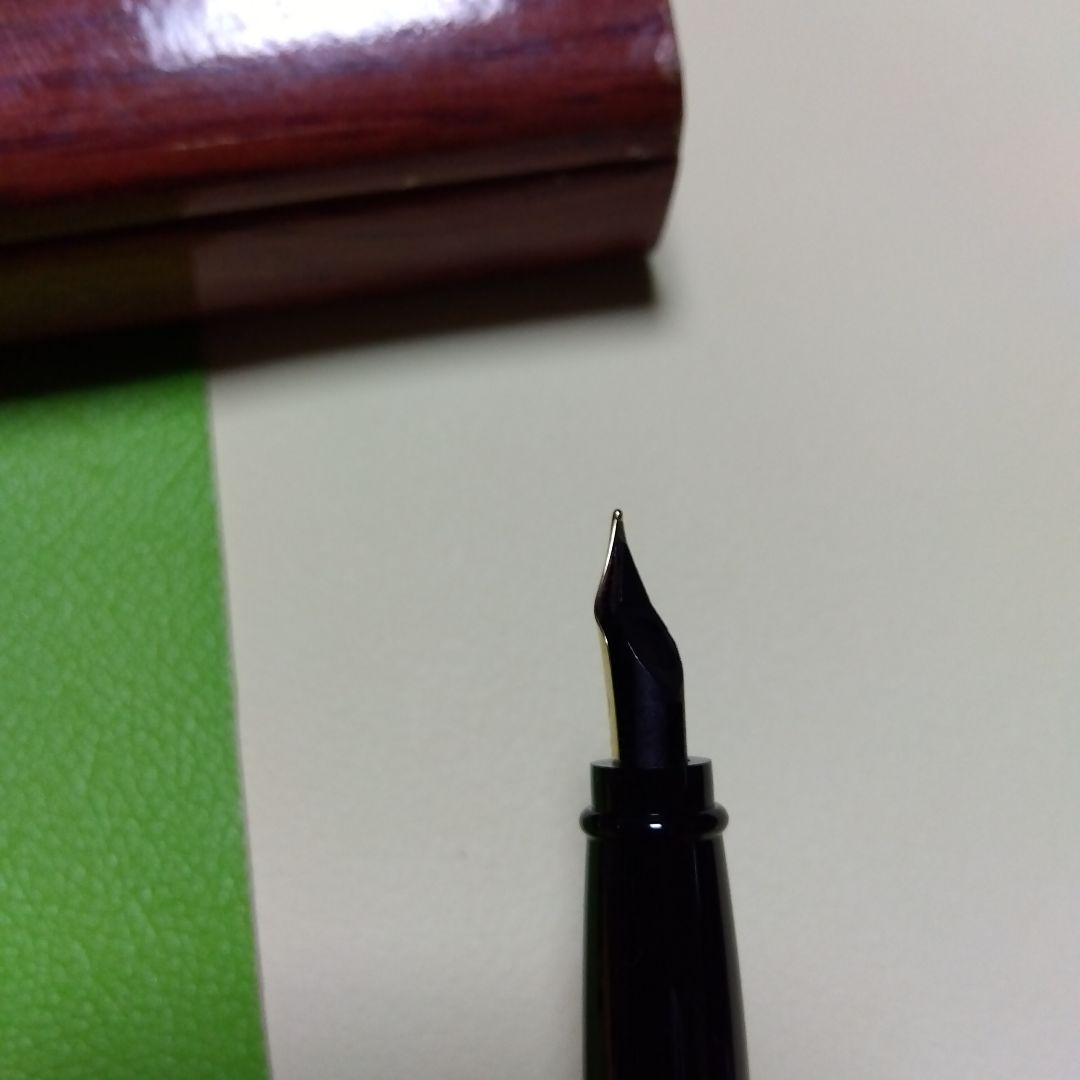【apollosさま】AURORA 万年筆 　【専用ケース付き】