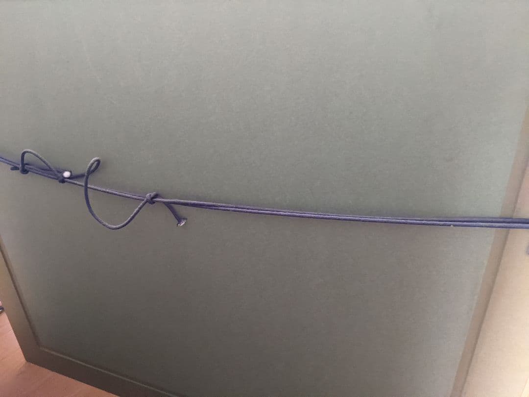 絵画　エッフェル塔とアイリス