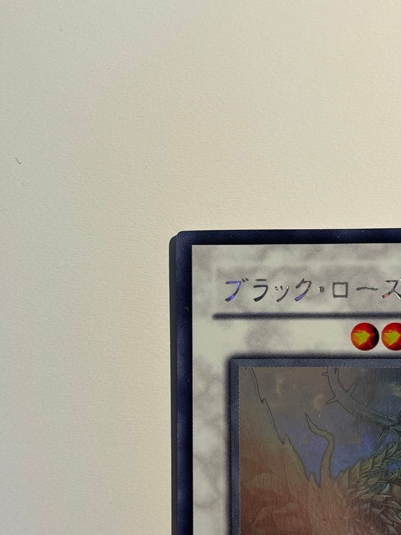 ブラック・ローズ・ドラゴン　ホロ