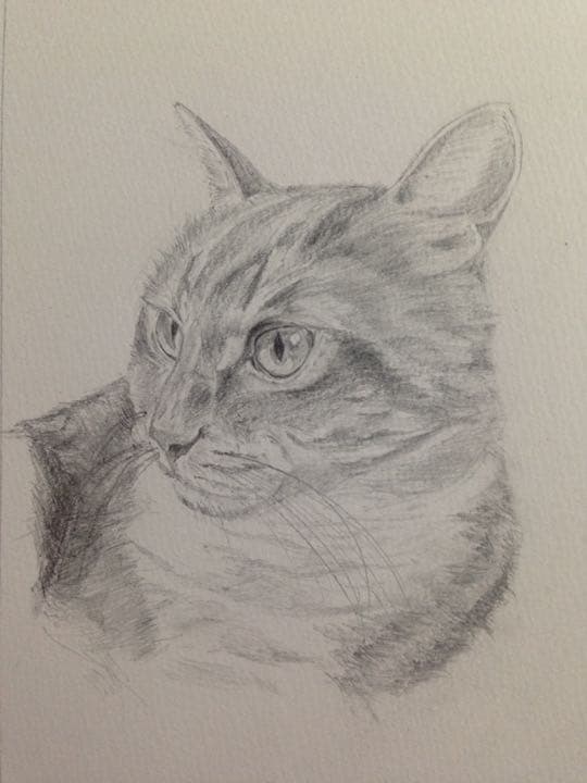 値下げしました！オリジナルのペットの鉛筆画