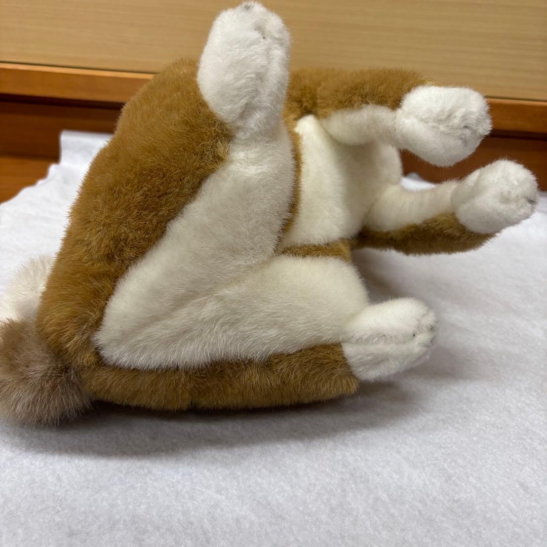 四季オリジナル　柴犬　おすわり　ぬいぐるみ　希少