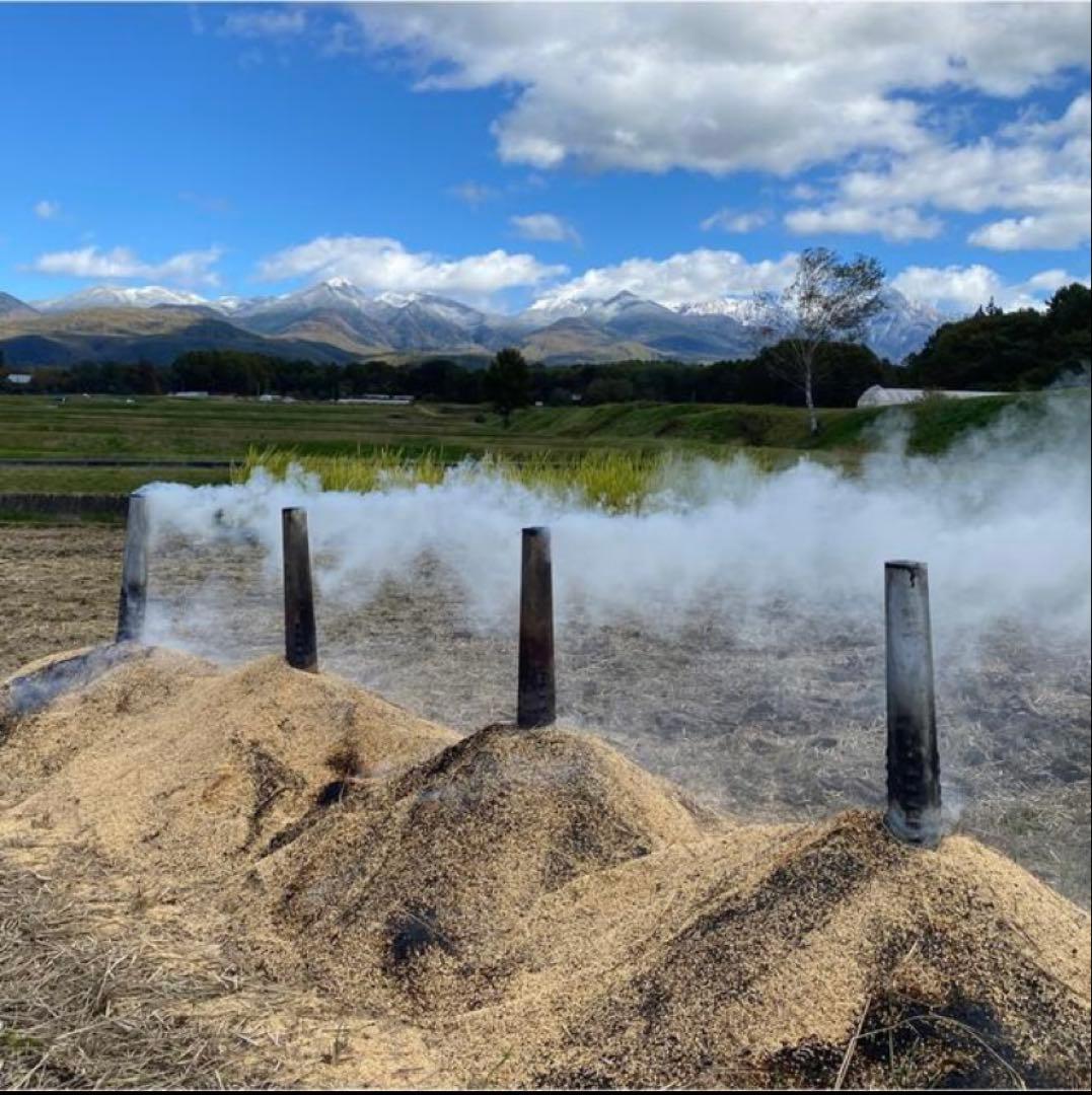 完全通年農薬不使用　令和7年度産うるち米こしひかり玄米　10kg