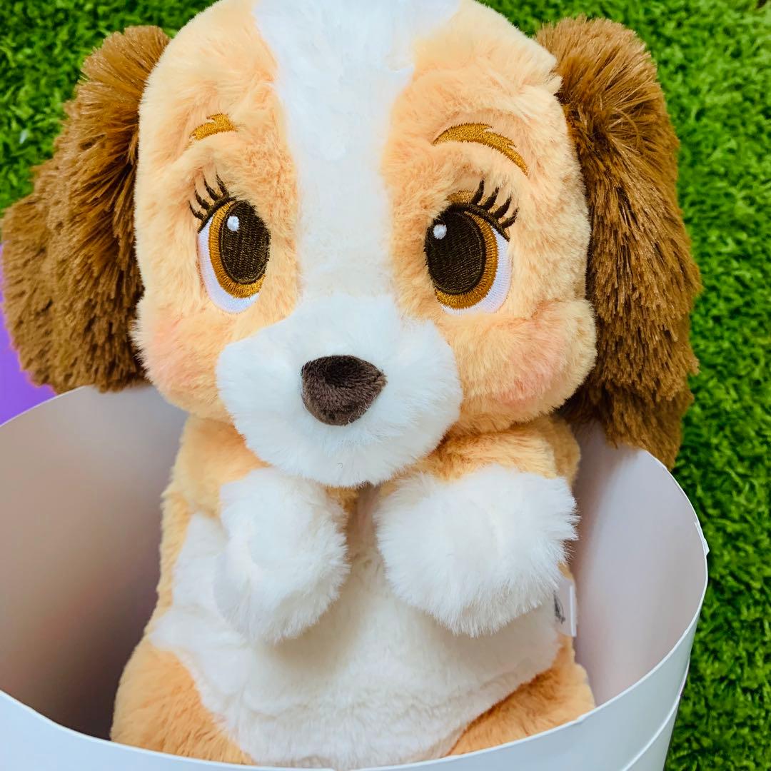 レディ ぬいぐるみ ボックス入り LADY AND THE TRAMP 70TH