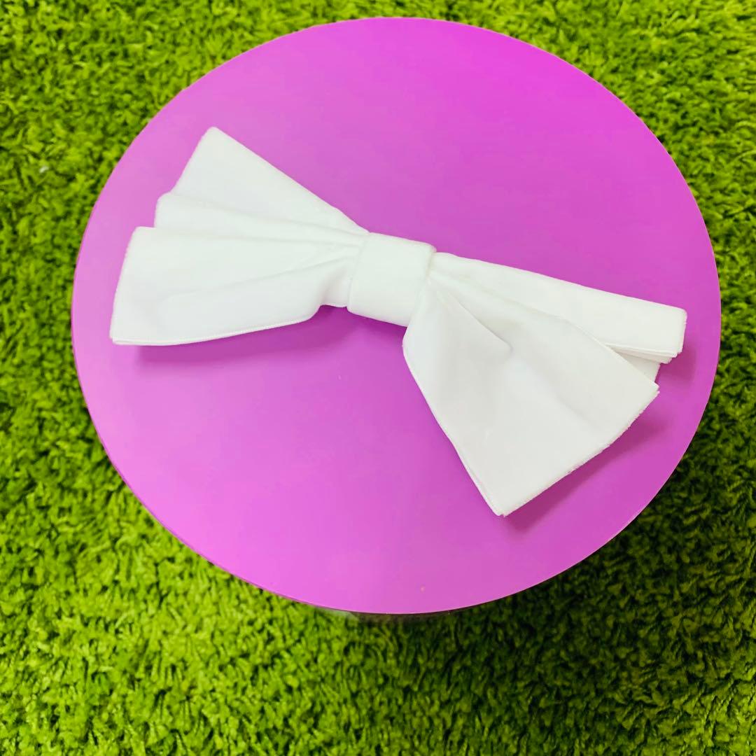 レディ ぬいぐるみ ボックス入り LADY AND THE TRAMP 70TH