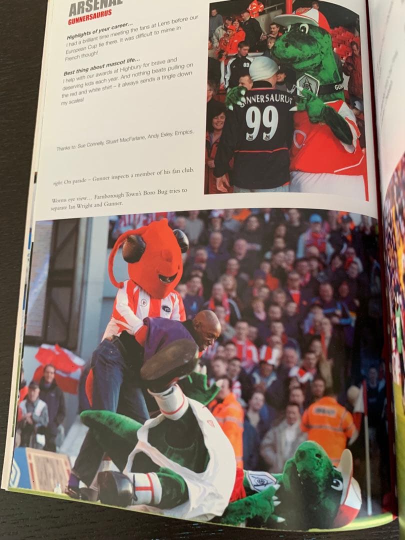 英国サッカーチームマスコット大全集！入手不可能