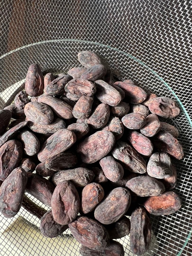 カカオ豆 ベネズエラ産 3kg